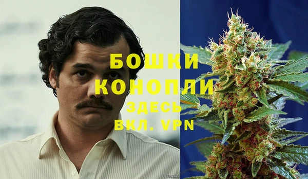 Альфа ПВП Верея