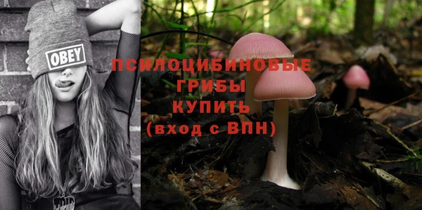 тгк Верхний Тагил