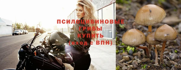 тгк Верхний Тагил