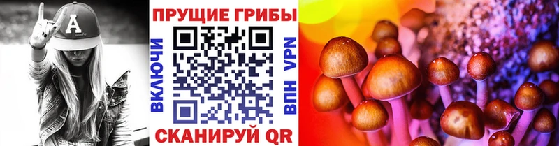 Купить  Красноуфимск  Галлюциногенные грибы MAGIC MUSHROOMS 